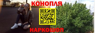 не бодяженный Кингисепп