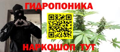 не бодяженный Кингисепп