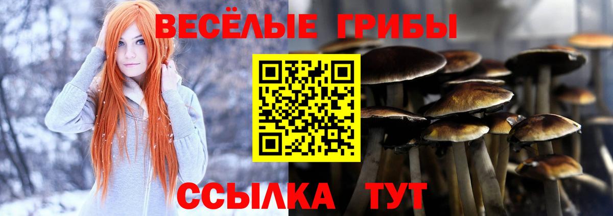 Галлюциногенные грибы мицелий Тимашёвск